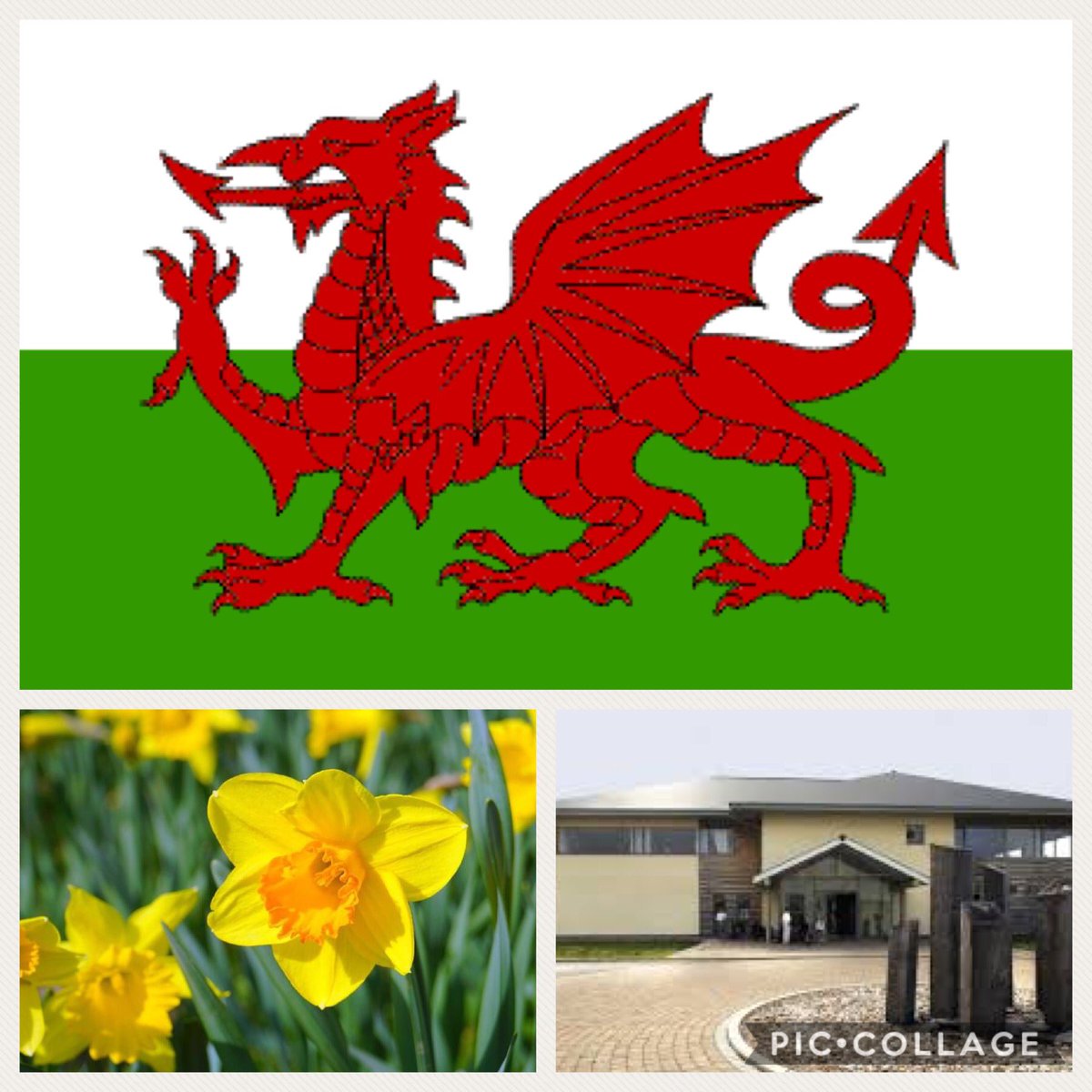 Just a few days to go until <a href="/FBE_WestWales/">FBE_WestWales</a> St David’s Day celebrations <a href="/MachynysGC/">Machynys Resort</a>. We will be presenting a cheque for over £2,000 to our charity of the year <a href="/DreamsWishesOrg/">Dreams & Wishes Charity</a> #networking #construction #charity #fbeWestWales