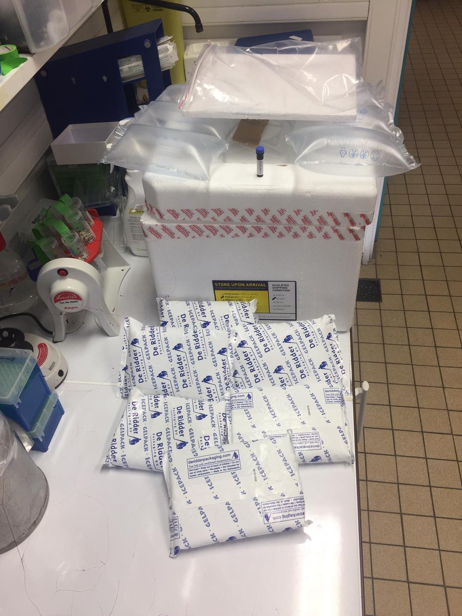 Livia L Mariano (@livialmariano) on Twitter photo This is just not acceptable. Huge amount of plastic and package to transport one antibody! We need to change that! Not cool <a href="/thermofisher/">Thermo Fisher</a> This is just not acceptable. Huge amount of plastic and package to transport one antibody! We need to change that! Not cool <a href="/thermofisher/">Thermo Fisher</a>