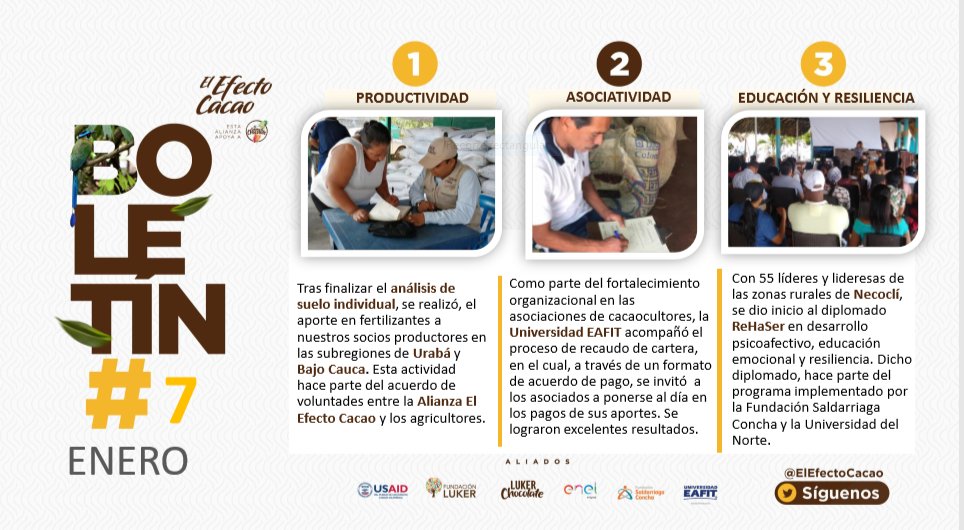 ElEfectoCacao's tweet photo. Conoce ahora, nuestro boletín No. 7 de #ElEfectoCacao
▶️ https://t.co/HrcJlYNatS @USAID_Colombia @FundacionLuker @Luker_Chocolate @EmgesaEnergia @SaldarriagaConc @EAFIT https://t.co/VkGhDN9qcw