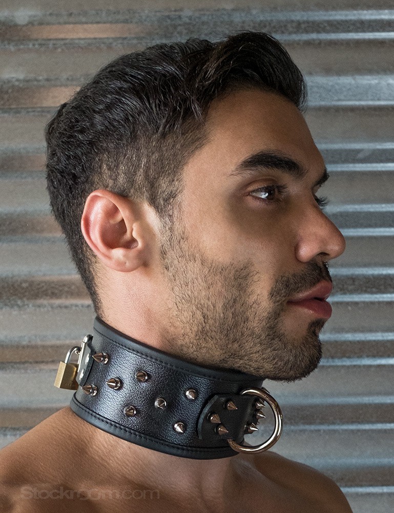 Human Wearing Dog Collar