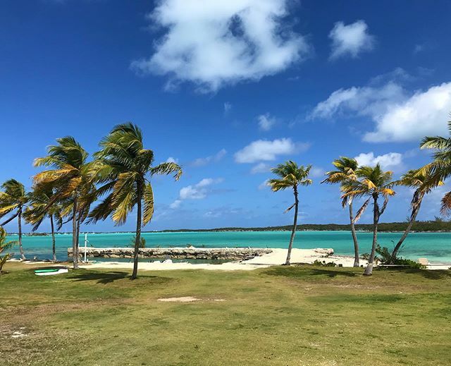 Breezy and beautiful in Exuma today! #exumablues #windydays #palmtreesmakemehappy #breezy ift.tt/32nQxZ0
