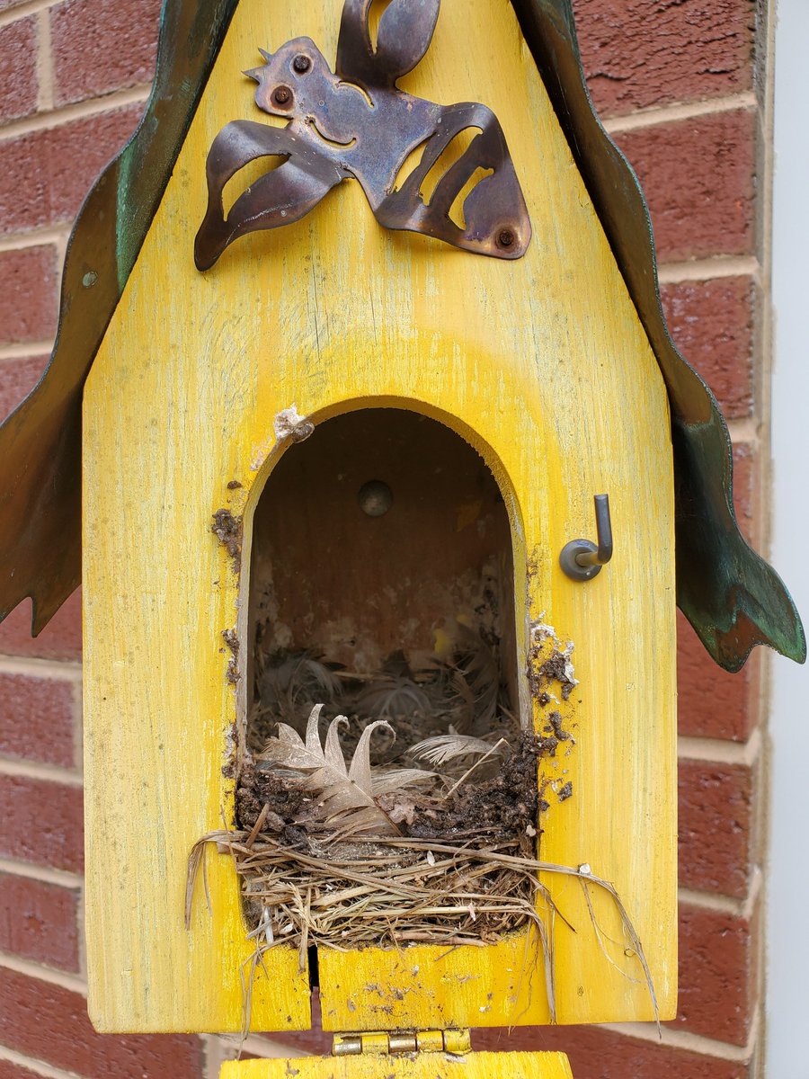 Winter is over and we're back in the garden. Daffodils are blooming, cilantro is ready to harvest and there are eggs in one of the bird houses. #FHRES20 pic.x.com/n9amd5fxlm