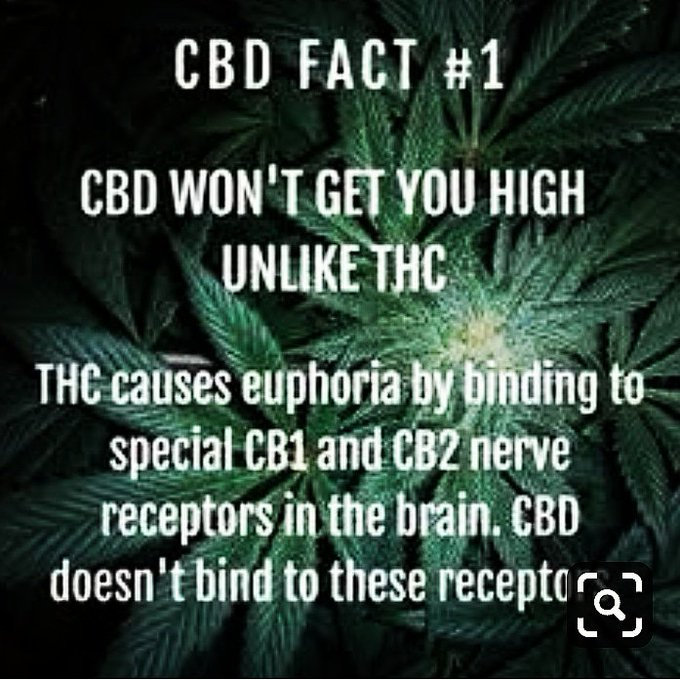 Check out our full spectrum, fully #traceable #CBDOil at AbbyChristopher.com 

#Connoils #hemp #cbdbalm #abbychristopher