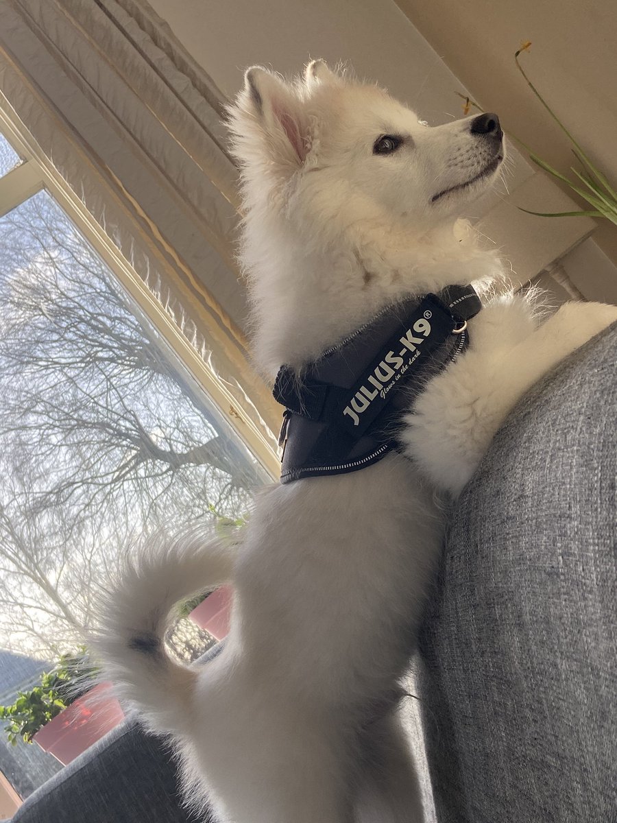 KirothePupper's tweet photo. 👀 https://t.co/Fz24MsvA9Z