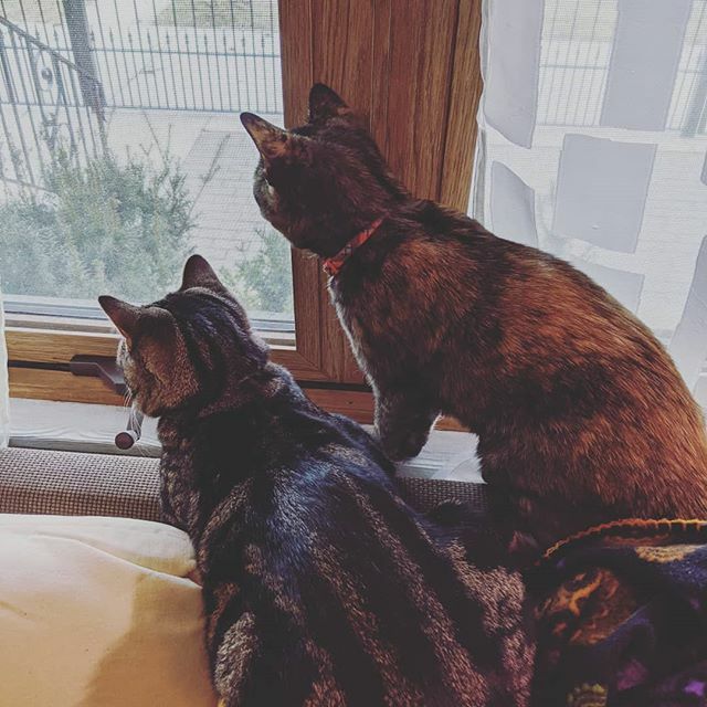 Tiffany Funk tweet media