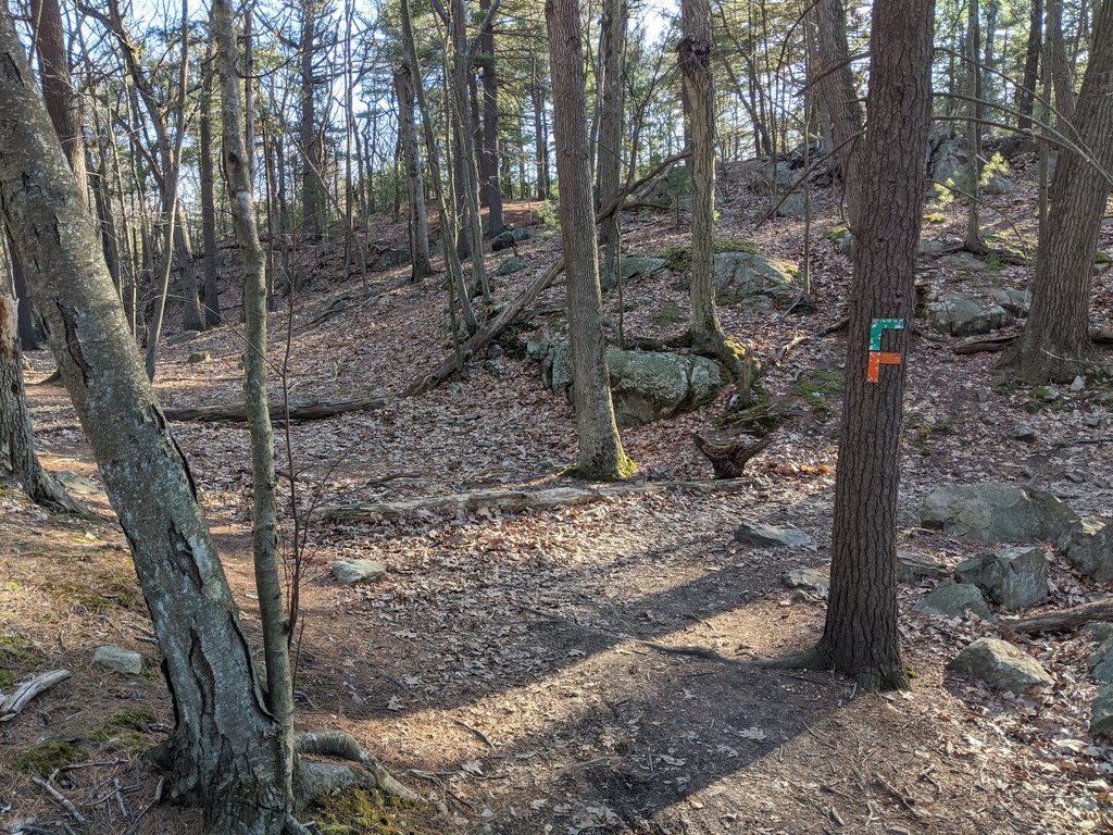 Bob_Spina's tweet photo. Go left when everyone else is telling you to go right. https://t.co/cE9fHC4OdQ