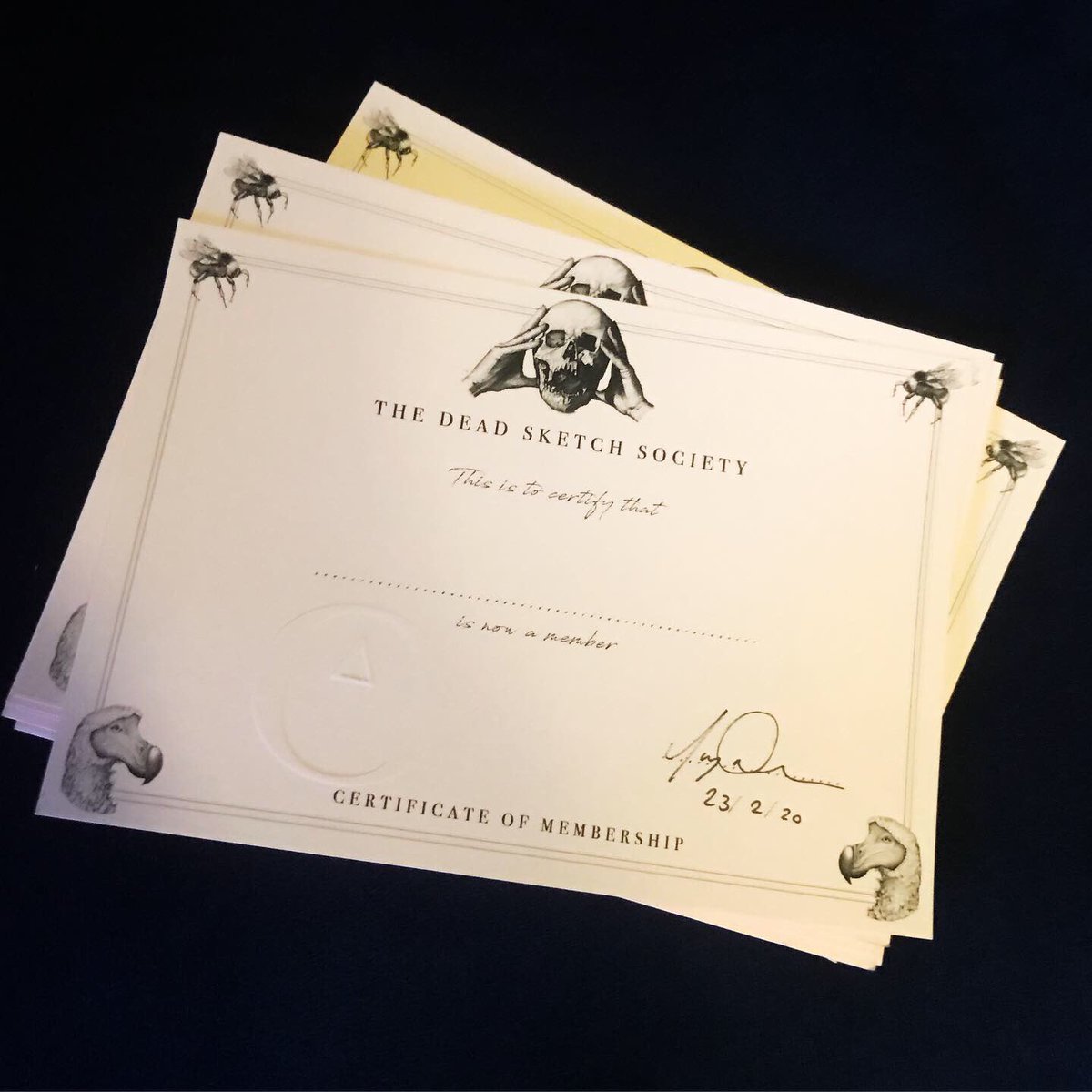 I had so much fun teaching the Dead Sketch society as part of <a href="/maps_festival/">MAPS Festival</a> at <a href="/CobaltStudios_/">Cobalt Studios Ltd</a>