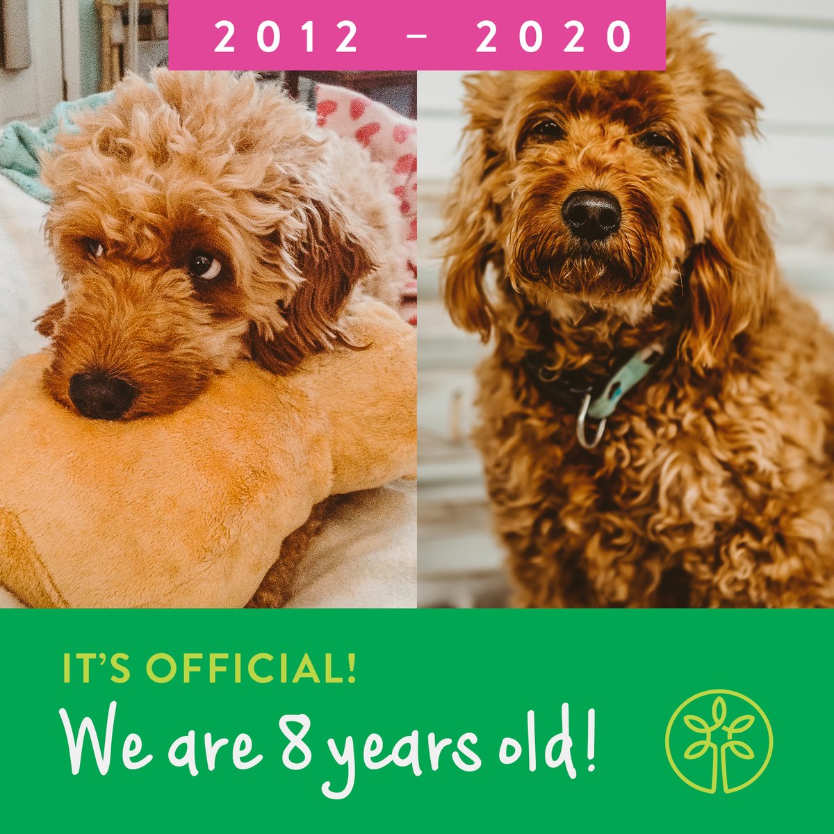 Angel Oak Creative tweet media