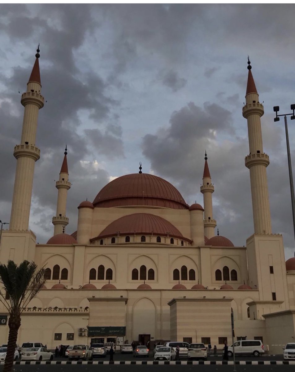 مزبن الجالين ، مميلة العقال 

 #حايل_الان