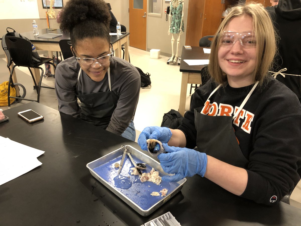 Seifert006's tweet photo. @rangerhub @NorthNews123 @JeffLyons9 @RangersNHS   It’s dissecting time!!! Anatomy students studying the eye! https://t.co/Xn1QkM68Z0