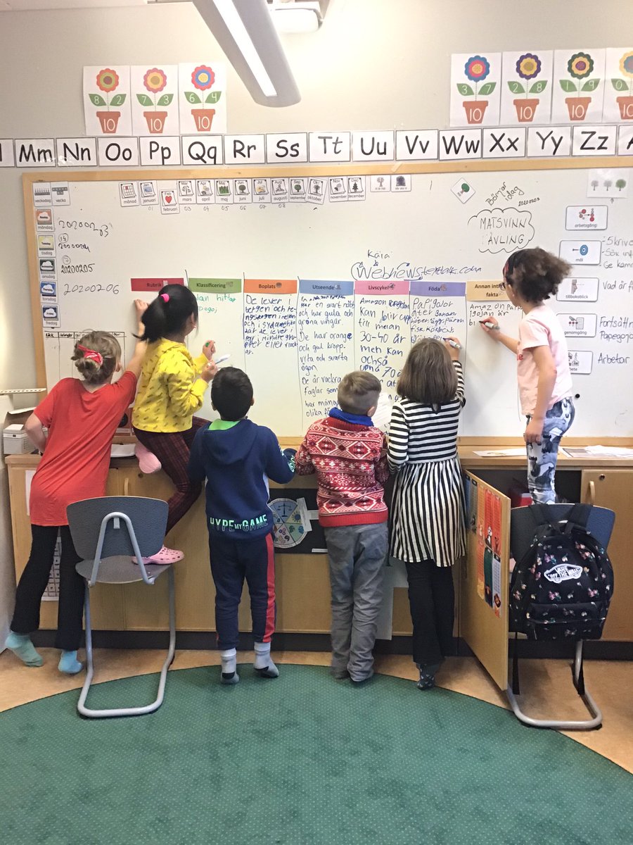 Vilken fin samarbete har vi haft i klassen idag.  tillsammans hittade vi så mycket intressant fakta om Amazons papegoja. @stenkulaskolan