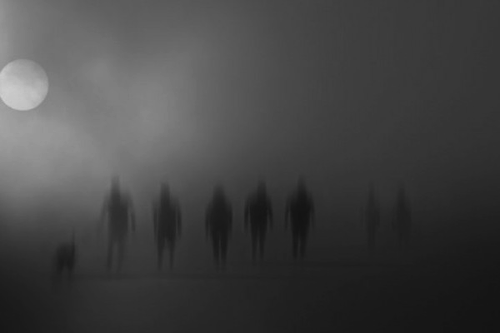 archillect's tweet image. 