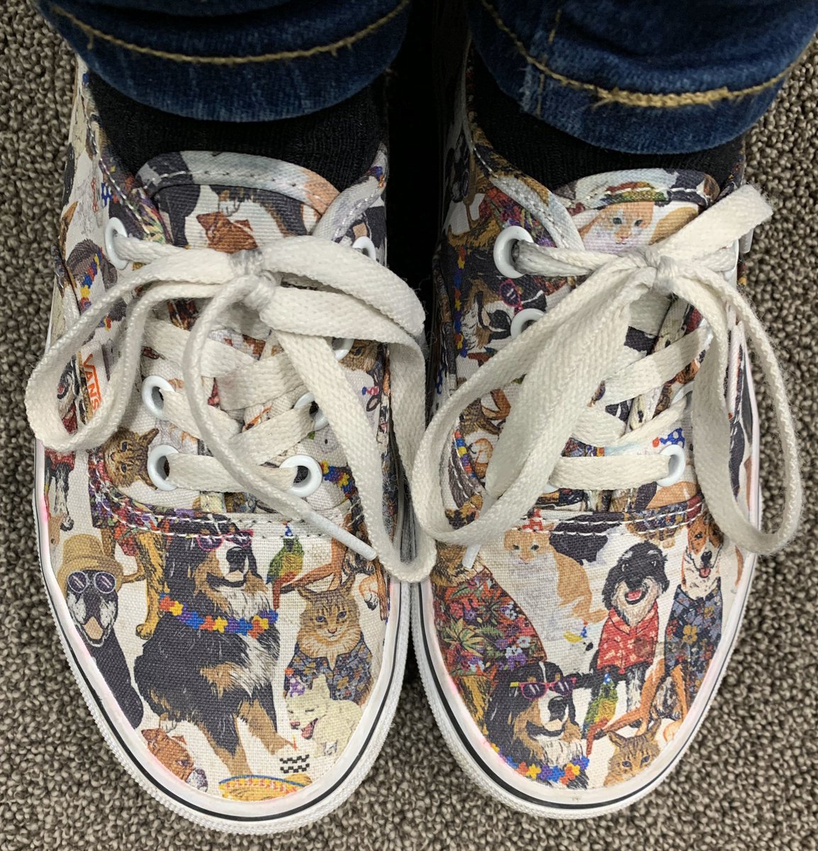 Sitting in council chambers downtown #GUELPH awaiting the Dog Park discussion. I wore my Dog Shoes to help show my support. #dogparks #community