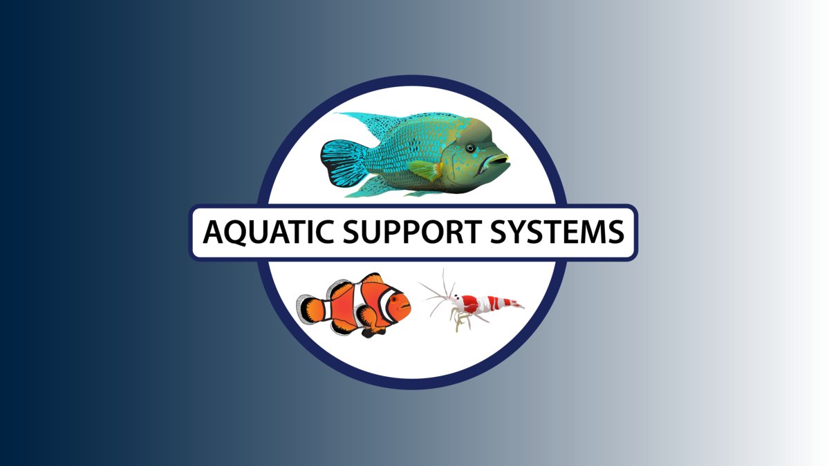 Dahlyvh's tweet image. SHRIMP FOOD CLEARANCE SALE! dlvr.it/RQgPXJ