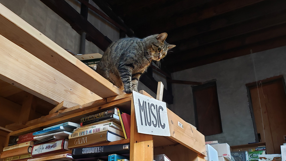 Mostly Books tweet media