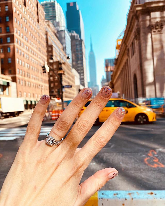 Danielle Fox tweet media