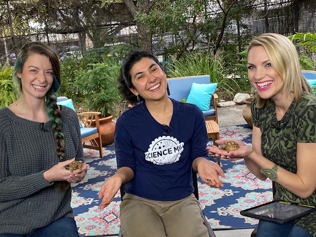 We had a blast with @TaylorEllison @weareaustin today! Our baby African Spurred Tortoises were a big hit 🐢, and we talked about tortoises and sea turtles + our new exhibit, SCIDive 4D, opening this Saturday at our 5th birthday bash!
ow.ly/asek50yuKk7