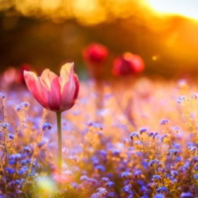 Wake Up Now Spring Yoga Retreat with Cath Slomka. A delightful blend of Restorative, Vinyasa Flow and Yin type yoga practices infused with mindfulness. 

🗓️ 17:00 3rd April - 14:00 5th April
📌 Haybergill Centre, Warcop
💰 £329
ℹ️ facebook.com/events/3495438…