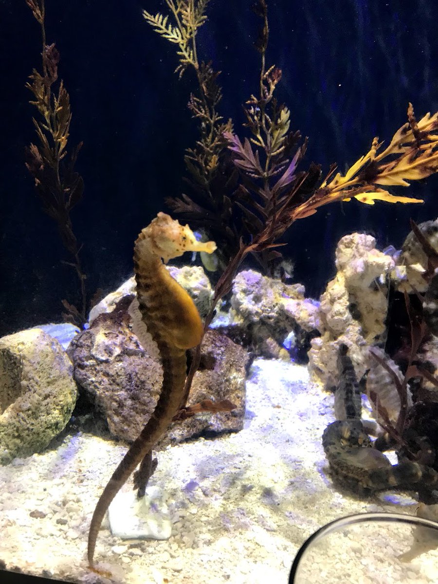 Just like finding Nemo, but with booze.  😉🐡 bddy.me/2PiCLl5 #ThisisCLE <a href="/cleaquarium/">Greater Cleveland Aquarium</a>