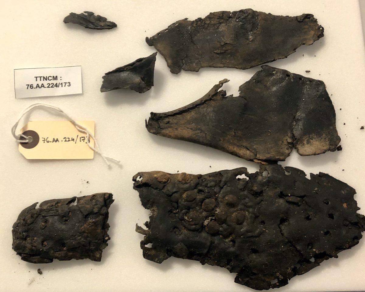AmalKhreisheh's tweet photo. Been tidying up @SomHeritage today. Packed away a selection of Roman objects that I’ve had out in the paper conservation lab for a while. #SWHTDiscovery #SouthWestHeritageTrust https://t.co/aMjR7EeXBn