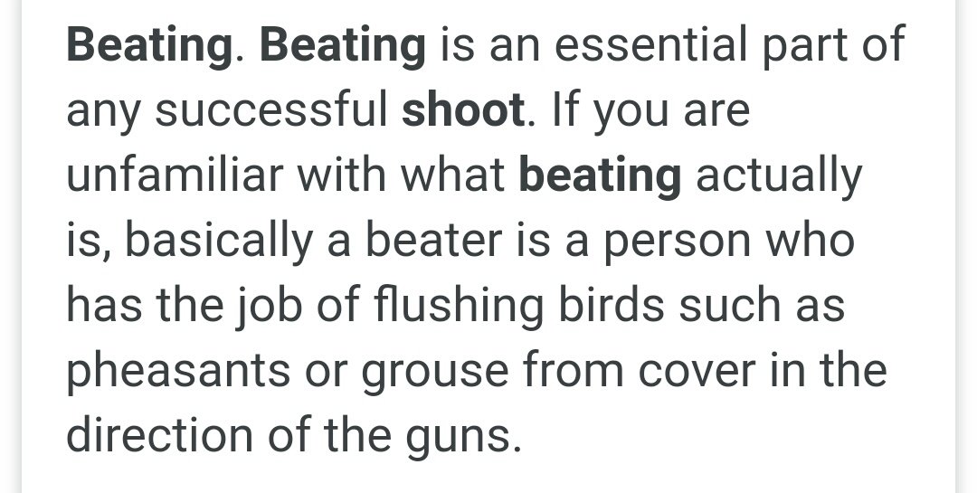 NetsNot's tweet photo. @ChrisGPackham Maybe this is our kind of unintentional "beating" On the day I found out #HS2 are now using Hawks to kill and flush birds from their habitat it sort of seems right we flush out the evil out there #HS2Evidence https://t.co/3uptBbusnV