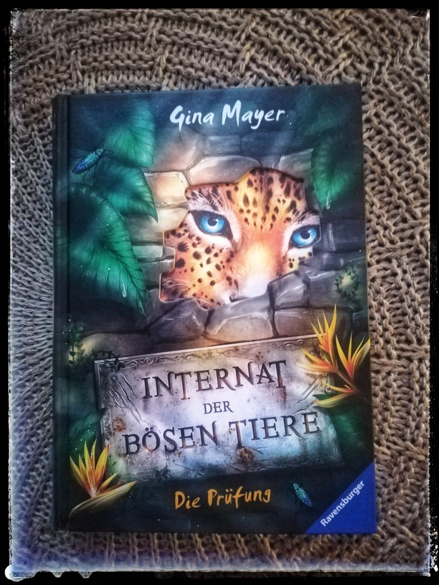 nichtohnebuch's tweet photo. #InternatderbösenTiere von #GinaMayer hat uns vor Spannung kaum losgelassen und wir sind neugierig auf die Fortsetzung @lovelybooks @RavensburgerBVL @vorablesen #Kinderbuch 
https://t.co/jMIgvBNw78 https://t.co/qsU09hVBBK