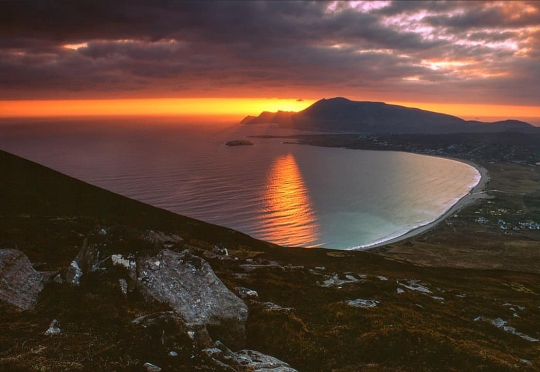 Garden Wall Ideas Quizlet, Mamiya 7 Landscape Photography