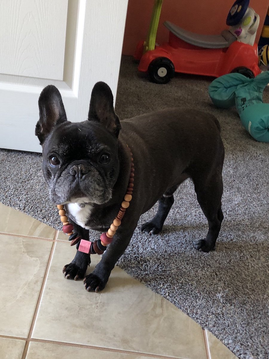 _Pierre21's tweet image. 