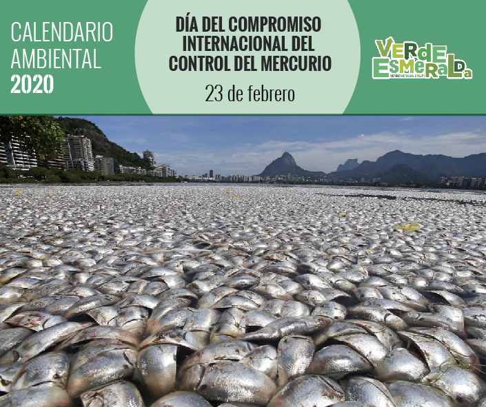 verdesmeralda2's tweet photo. CALENDARIO AMBIENTAL 🌱

El día de ayer, celebramos el Día del Compromiso Internacional del Control del Mercurio, fecha que conmemora la decisión de los #ministros de medio ambiente de 140 #países para preparar un tratado para hacer frente al comercio y el impacto del #mercurio. https://t.co/AfT44HbuPx