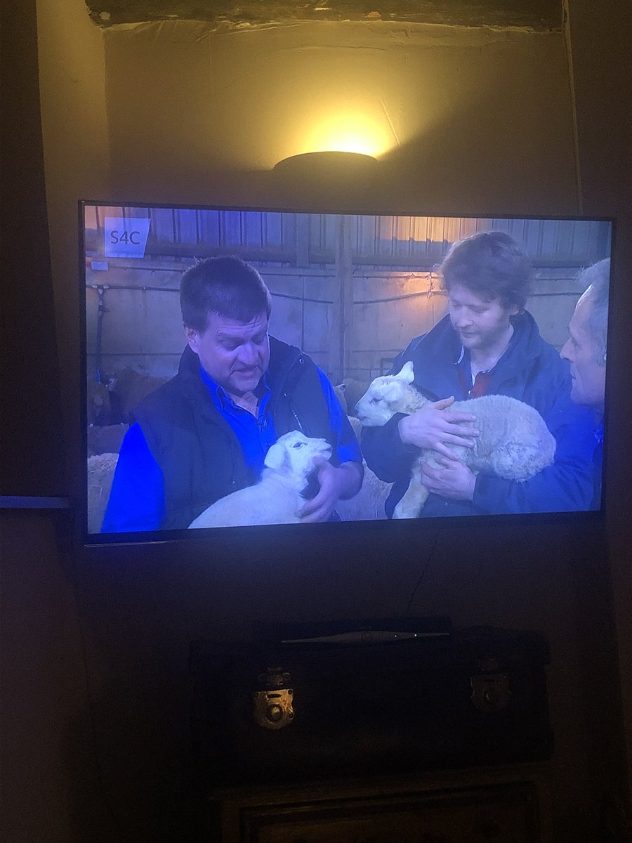 1GarethWynJones's tweet image. Wel am  rhaglen wych ar @S4C @Ffermio pawb yn mwyhau yma . Teulu bach Shadog  ma yn gwethio yn galed . Da iawn ir criw @Telesgop #wyna #ffermio