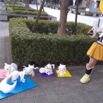 京大入試にきゅぅべぇ!何故!？