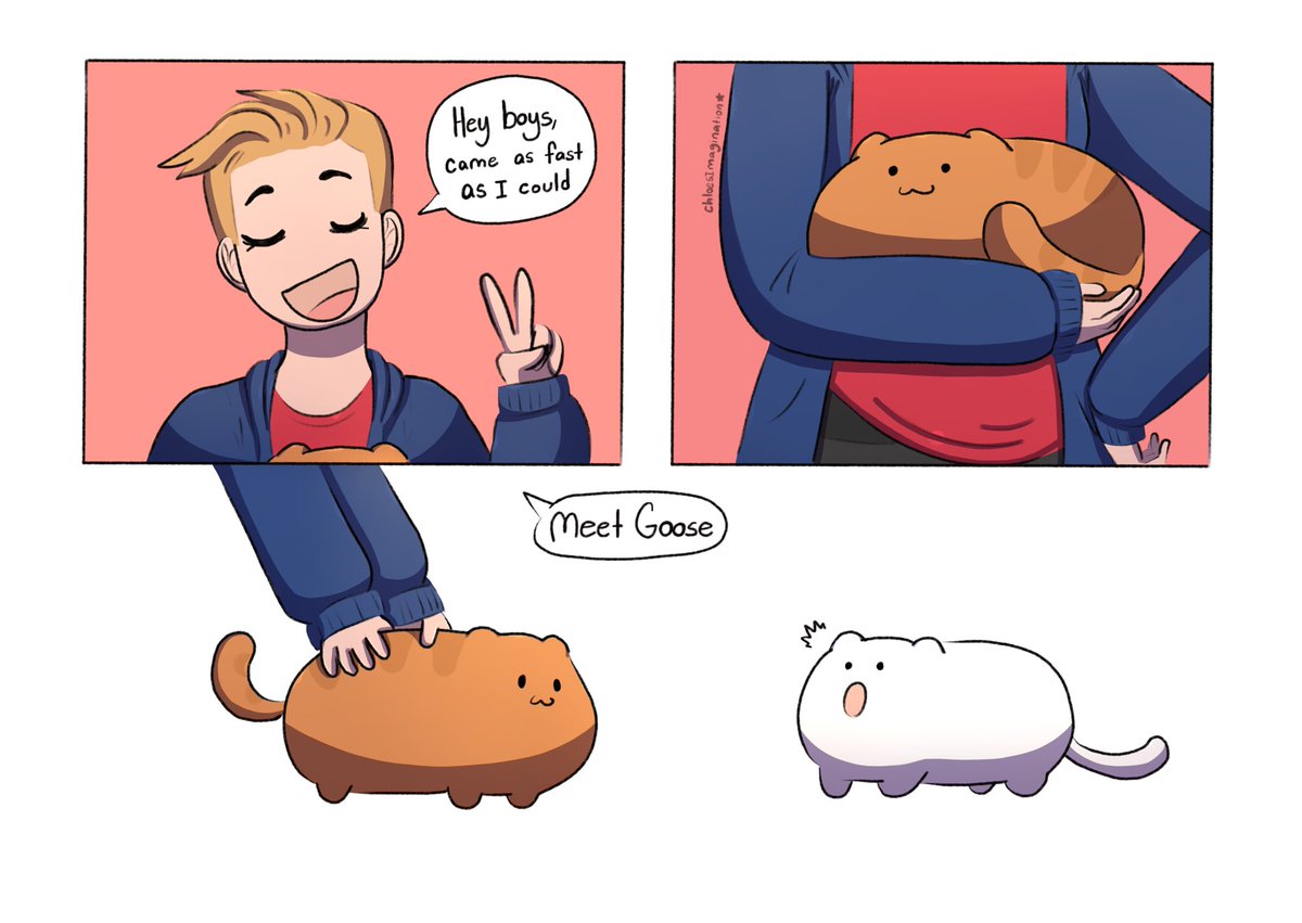 ✨Alpine and Goose are best friends now✨ 