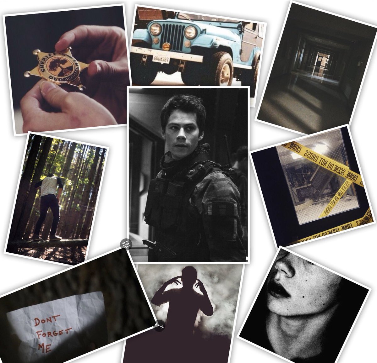 BraveDork's tweet image. #PerfectPicture - Solo/SL by @BraveDork