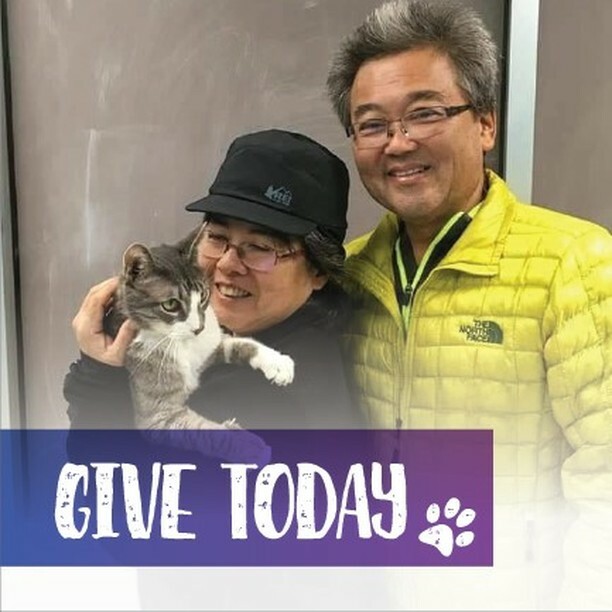 VSAS_RAS's tweet photo. We all want to belong. What makes our furry friends any different? 
Your contribution to Verona Street Animal Society makes a direct impact on the lives of our furry friends - creating hope, providing shelter, and completing families.

Please donate now … https://t.co/m6EFv3gJ1b https://t.co/ksj89DdL8x