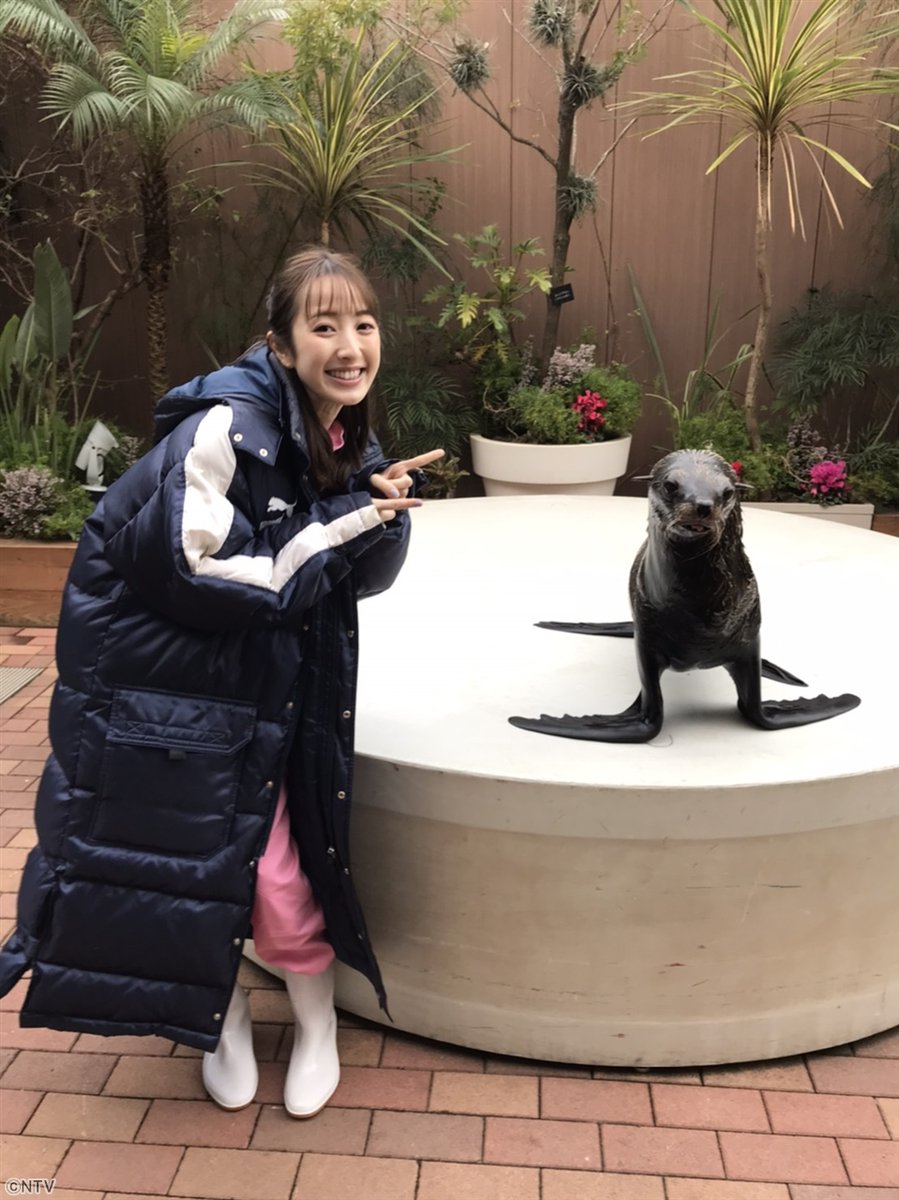 このあとは、アクアパーク品川から生中継🐠✨ 春限定🌸イルカの新