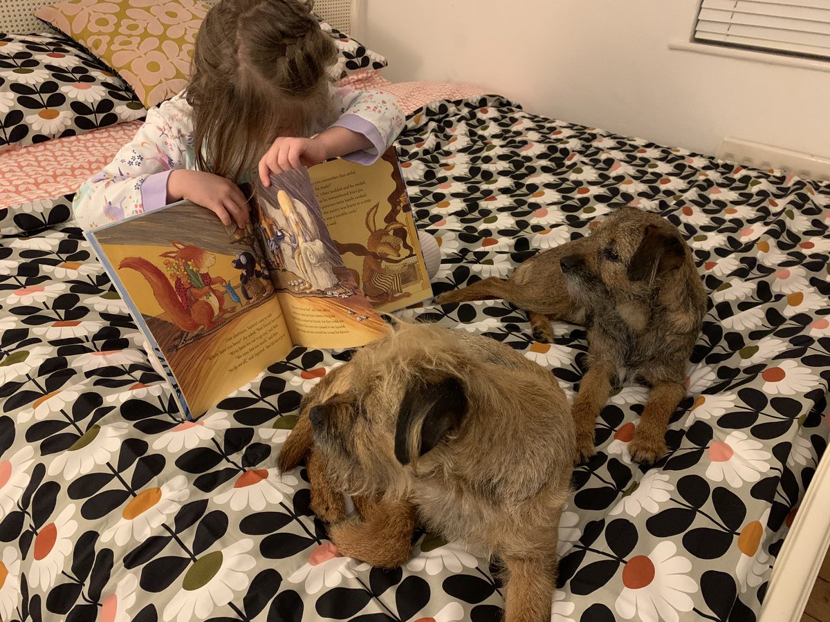 AndreaM76770567's tweet photo. #READFebruary2020 Day 24. P, B &amp; Dusty &amp; Flora swapped books - P learnt the most effective way to strip the hairs from BT’s, how to help settle a BT puppy into a new home &amp; how to lessen the noise that BTs can create. Let the training commence! 🤞🏻😬 @WalgravePSAM https://t.co/Ri39uqNvjn