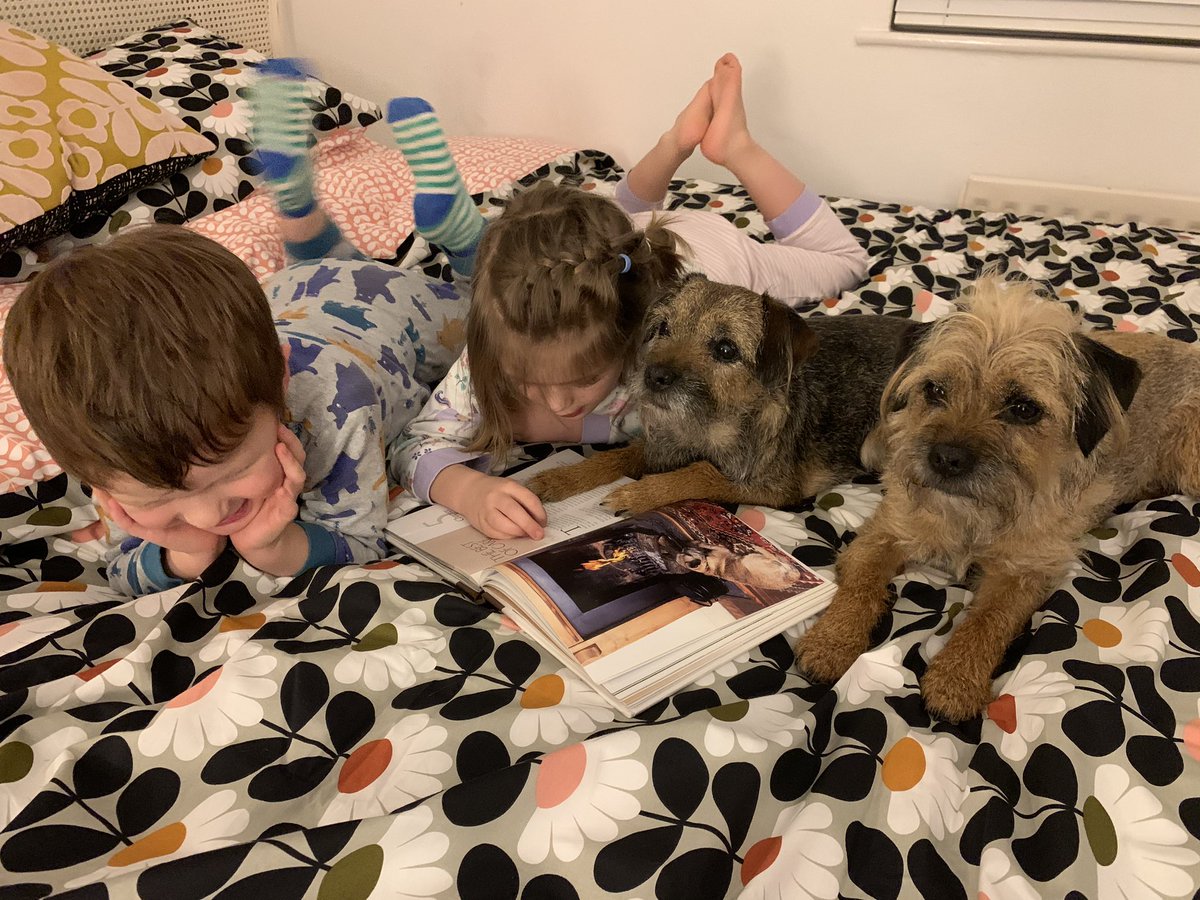 AndreaM76770567's tweet photo. #READFebruary2020 Day 24. P, B &amp; Dusty &amp; Flora swapped books - P learnt the most effective way to strip the hairs from BT’s, how to help settle a BT puppy into a new home &amp; how to lessen the noise that BTs can create. Let the training commence! 🤞🏻😬 @WalgravePSAM https://t.co/Ri39uqNvjn