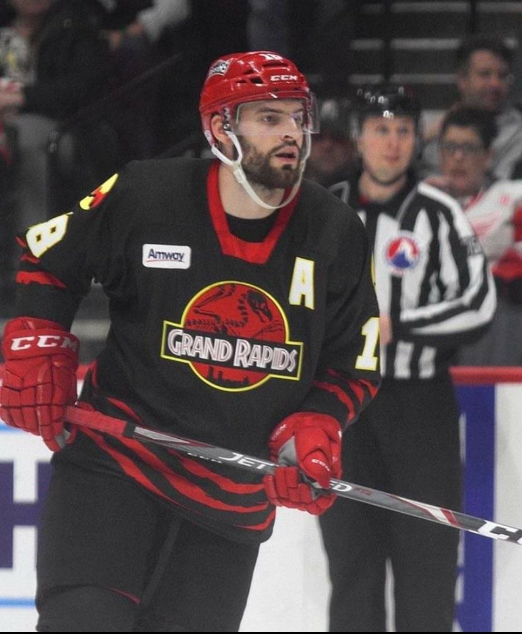 Dump N Change© on X: Grand Rapids Griffins Jurassic Park uni's are  completely filthy 😳😱  / X