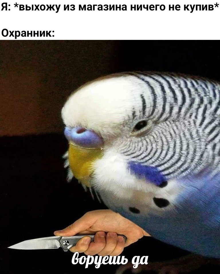 ERkzEqoU8AA8Iq5?format=jpg&name=medium