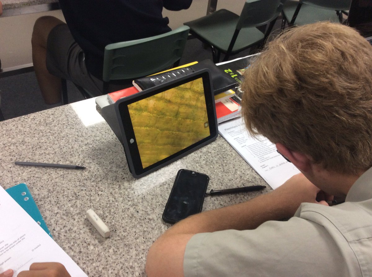 BeckRSaunders's tweet photo. IPads and phones are wonderful when using microscopes and doing biological drawings....today my #Year11s looked at #plasmolysis in #elodea.... love this lab. #VCE #Biology #Unit1 #Tonicity https://t.co/DoNB6T0EIj