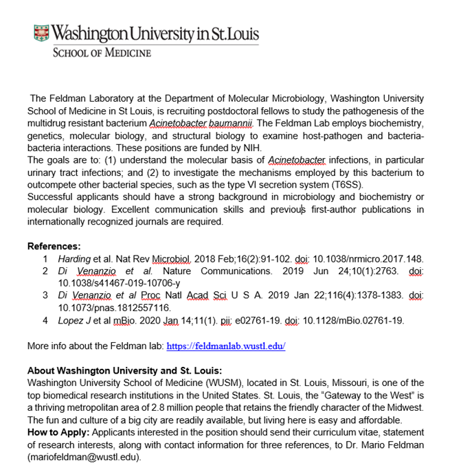 MarioFeldman9's tweet photo. I am looking for a motivated post-doctoral fellow to join my team. More info here: https://t.co/5GRP8kw0Li