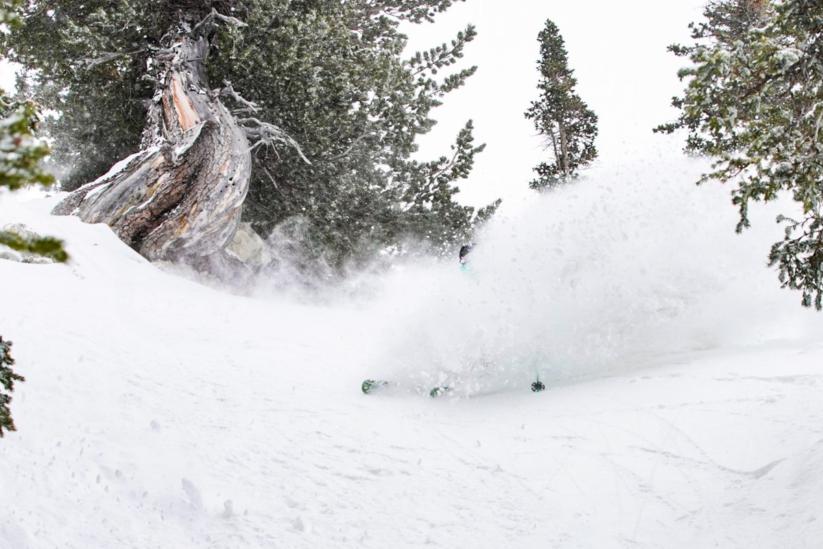 Snowbird's tweet photo. Pow hunter George Rodney finding the goods today.
π·: Eric Sales
#SNOWbirdSleepRepeat #Ski #Powder https://t.co/LYkveYx16W
