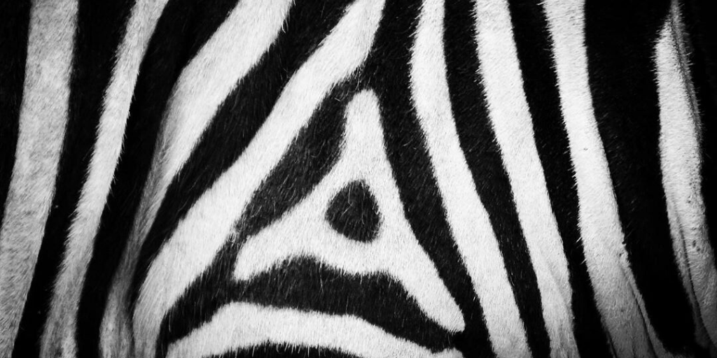 GreatGuides tweet media