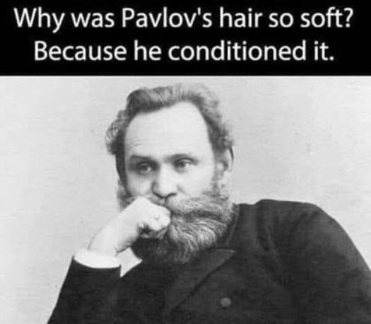 GrassBased's tweet photo. Why was Pavlov's hair so soft? https://t.co/ZvH7lbhRth