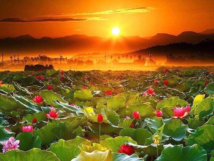 SecretThrough's tweet image. ☀️อรุณสวัสดิ์ : คน 3 แบบ 🌟 ที่เราต้องพาตัวเองไปอยู่ใกล้ๆ 
#คนเก่ง​ : เรียนรู้​วิธีคิดและวิธีทำงาน
#คนดี​ : สงบร่มเย็น​ แบ่งปัน​และช่วยเหลือผู้อื่น
#คนมีความสุข​ : มีมุมบวกเสมอ
#ชอบกดไลท์​ #ใช่กดแชร์☺️