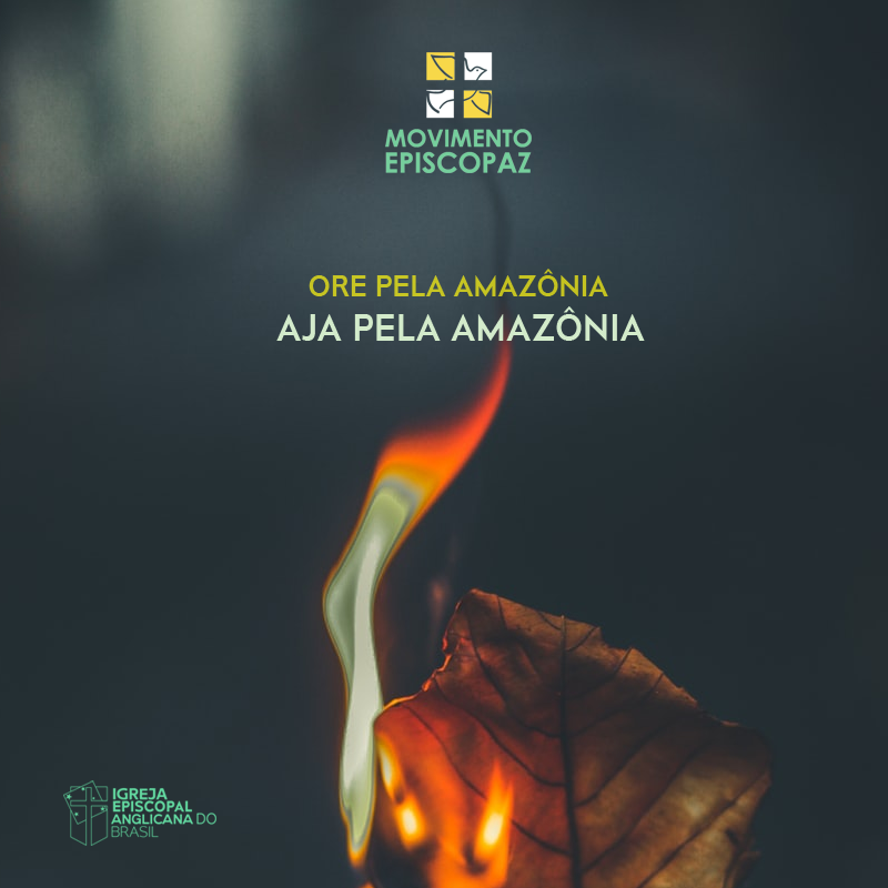 Episcopaz's tweet photo. Ora-Ação.
Orar é também agir.
Toda Criação é sagrada.
@PrayForAmazon @ActForTheAmazon⠀⠀⠀⠀⠀⠀⠀⠀⠀

#queimadas #desmatamento #floresta #meioambiente #movimento #episcopaz #pastoral #evangelização #justiçasocial #igrejaanglicana #episcopais https://t.co/mu9eSdq69S