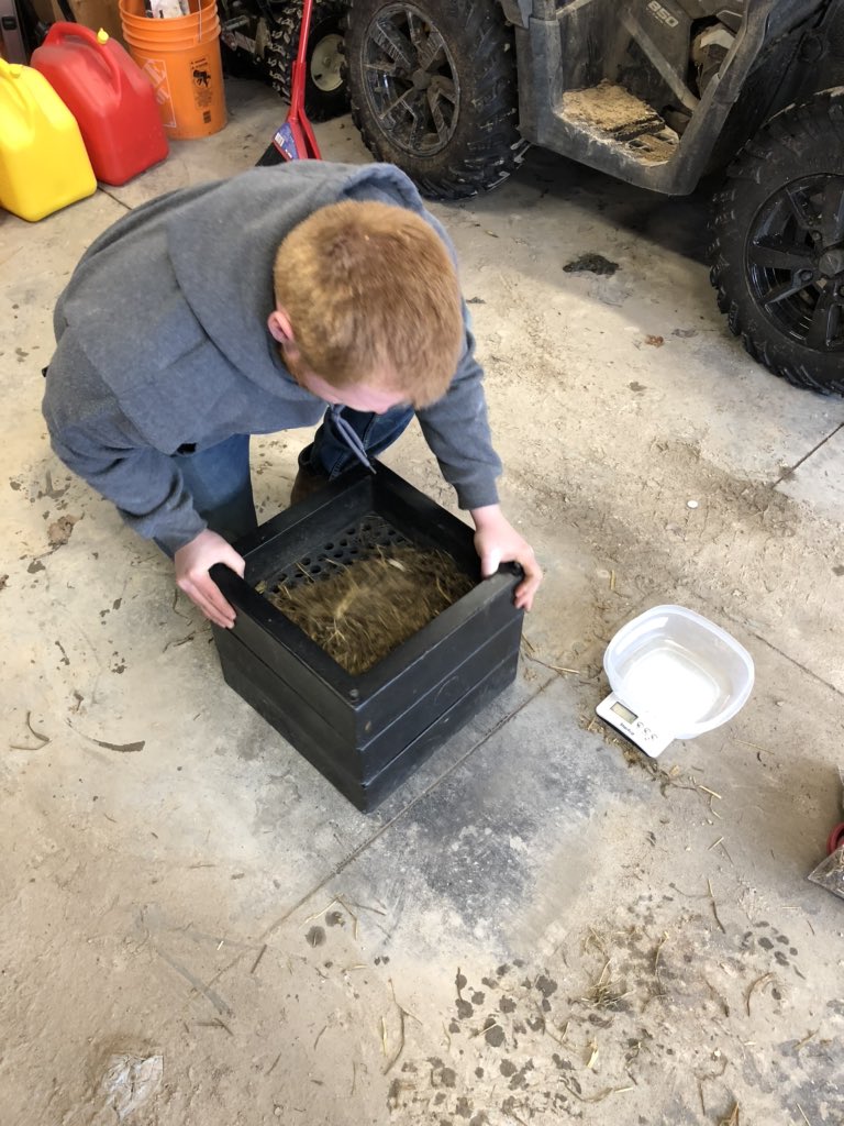 Letting my plumber boyfriend experience a bit of the feed world. Injured my shoulder a month ago, so he’s been doing my shaker boxes for me. He’s thinking he’d like to stick to plumbing 😂