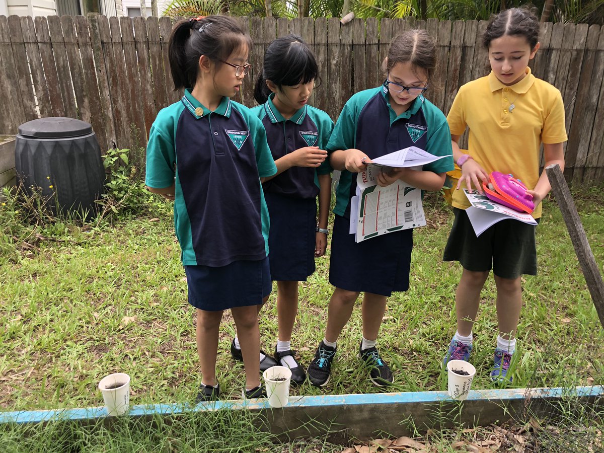 HollyKim0's tweet photo. Stage 3 were outdoors recording the results on the growth of plants in Science @ermington_west @JoshEnglefield https://t.co/K0iokFgy4d