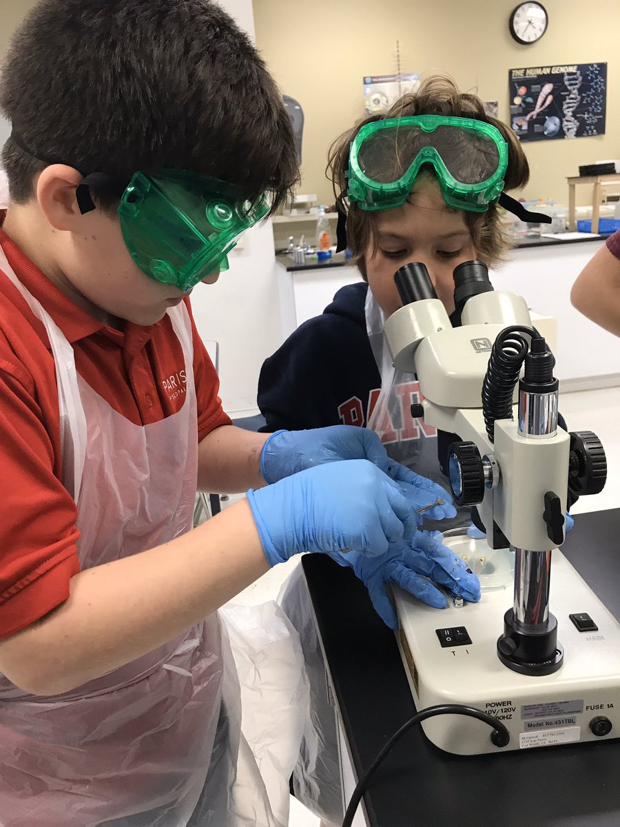 Ms. Roman's Biology tweet media