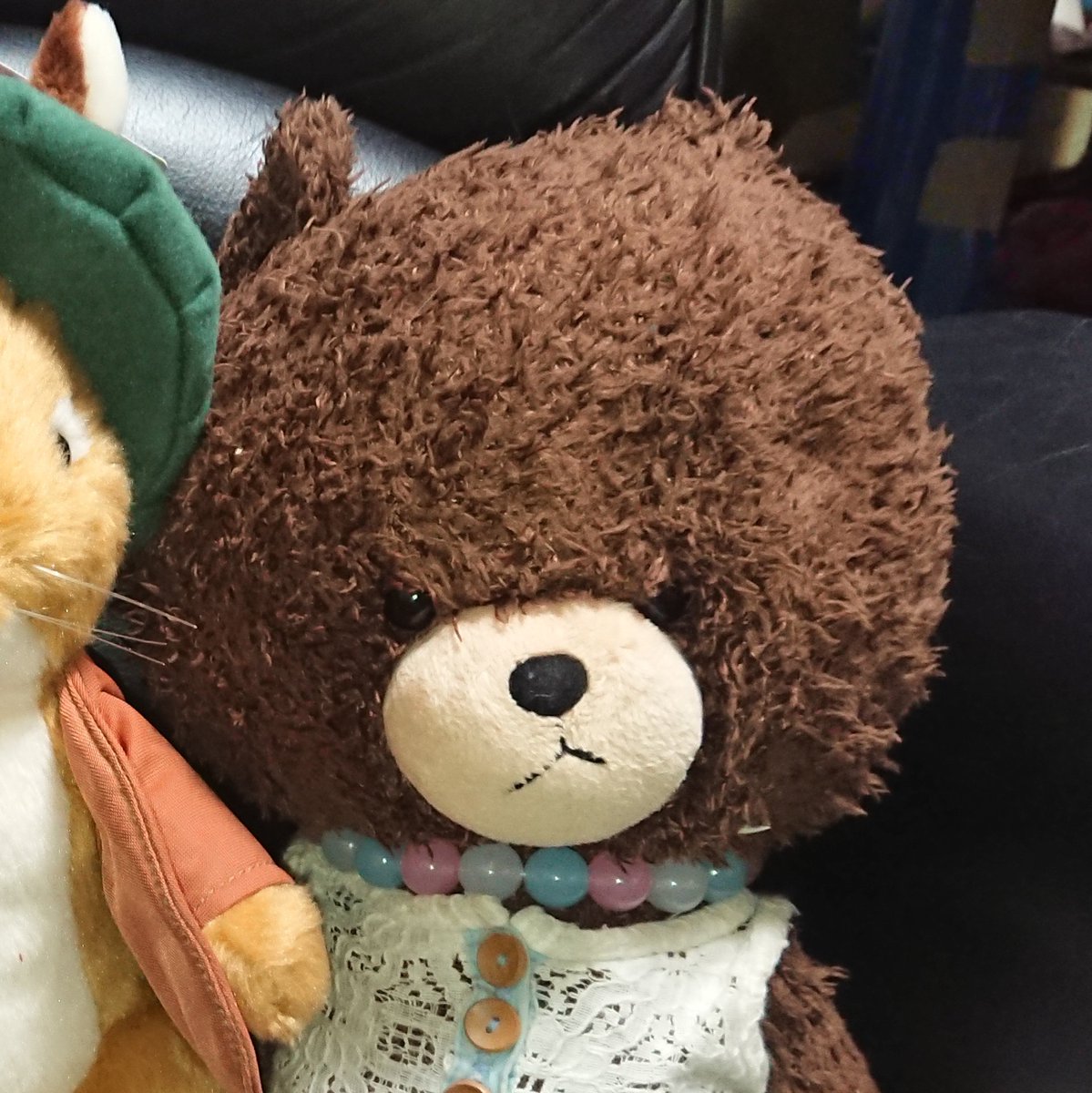 Teddy16222858's tweet image. 2019年2月12日～19日ごろ
仙台市内でぬいぐるみを紛失しました。25センチほどの焦げ茶のくまのがっこうのジャッキーです。
子供が出産祝いに頂いてから８年間大事にしていた宝物です。
毎日、一緒に出掛けていたので、車から落としたかもしれません。
お心当たりのある方、教えて頂けると助かります。